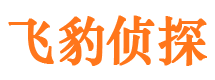 宜春市侦探调查公司